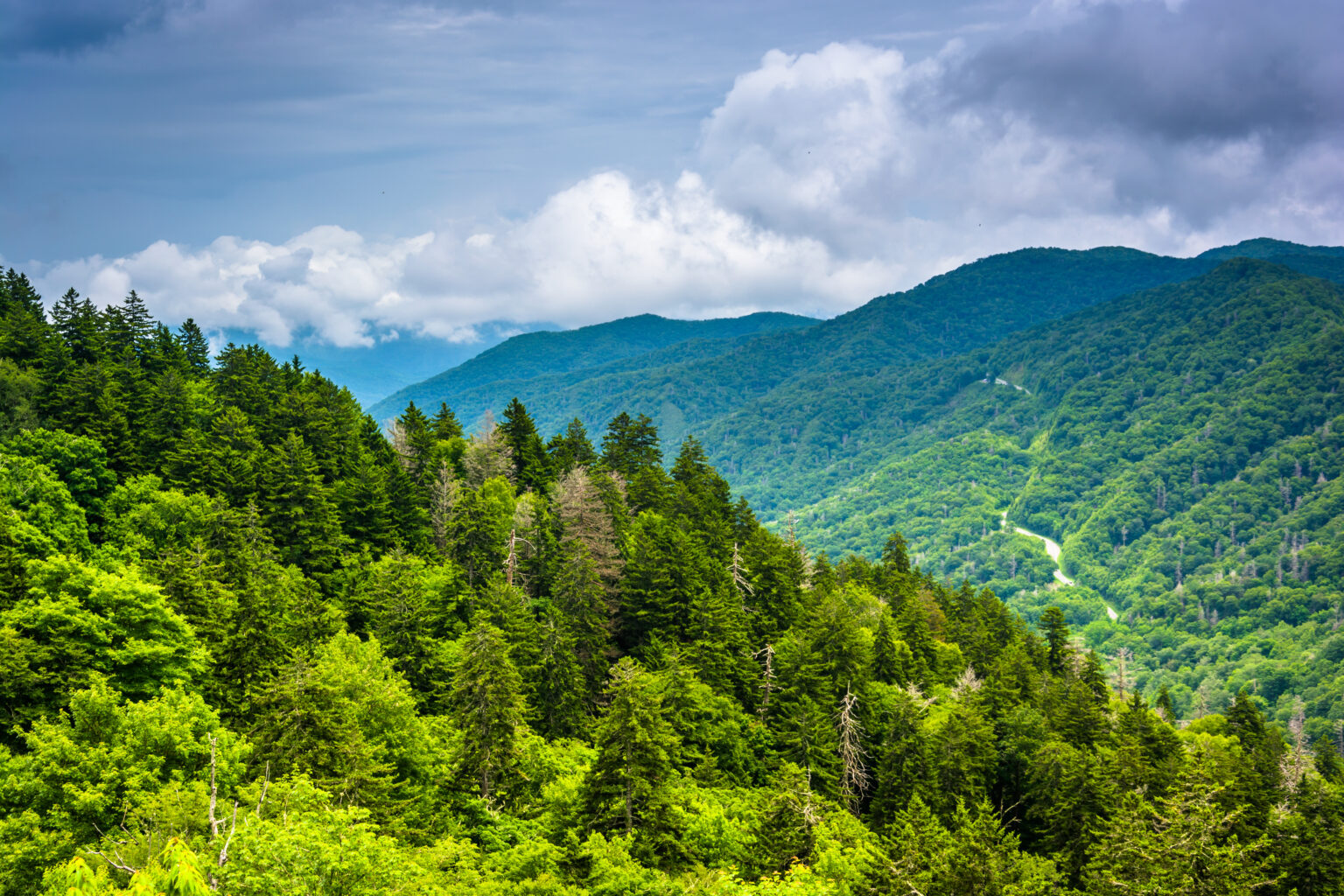Ridge Riders Adventure Rentals - Golf Cart & UTV Rentals | Pigeon Forge, TN
