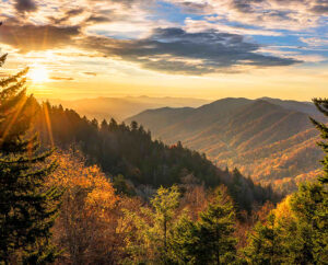 UTV Rental in Smoky Mountains - Ridge Rider Adventure Rentals